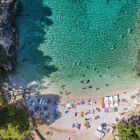 Gorgeous In With Wifi * Pula